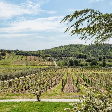 Agriturismo Biologico Bulichella * Suvereto