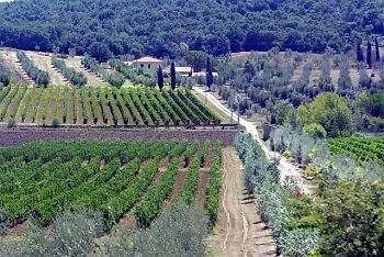 Agriturismo Biologico Bulichella *