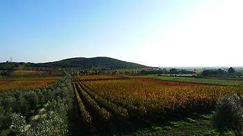 Agriturismo Biologico Bulichella Farm stay